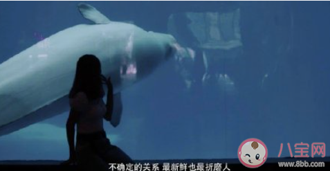 當我問媽媽不結婚可以嗎 媽媽對于不結婚的態度是怎樣的 當我問媽媽不結婚可以嗎 媽媽對于不結婚的態度是怎樣的