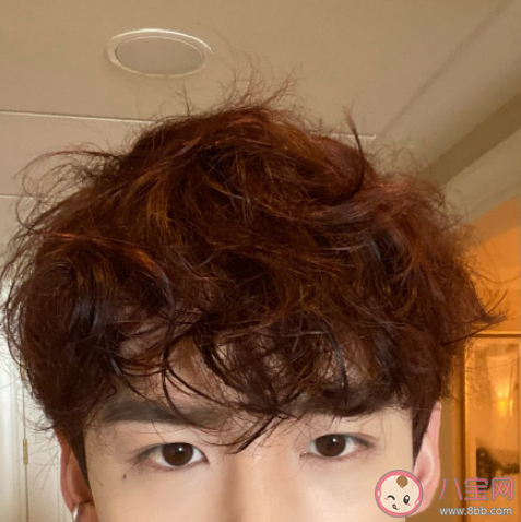 頭發亂竟然是種病嗎 蓬發綜合征是什么意思 頭發亂竟然是種病嗎 蓬發綜合征是什么意思