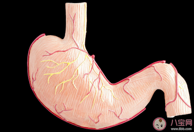 查出幽門螺桿菌要不要治療 檢查幽門螺桿菌感染有哪些方法 查出幽門螺桿菌要不要治療 檢查幽門螺桿菌感染有哪些方法