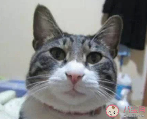 自拍錯(cuò)發(fā)到公司群怎么辦 如何處理自拍發(fā)錯(cuò)群了 自拍錯(cuò)發(fā)到公司群怎么辦 如何處理自拍發(fā)錯(cuò)群了