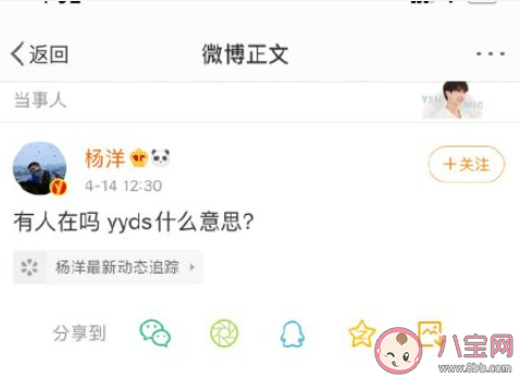 楊洋問yyds什么意思 yyds是什么梗 楊洋問yyds什么意思 yyds是什么梗