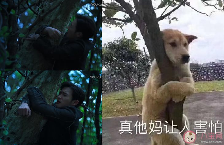 網(wǎng)絡(luò)用語狗塑是什么意思什么梗 狗塑為什么火了