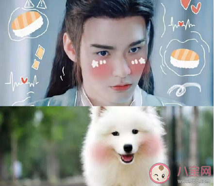 網(wǎng)絡(luò)用語狗塑是什么意思什么梗 狗塑為什么火了