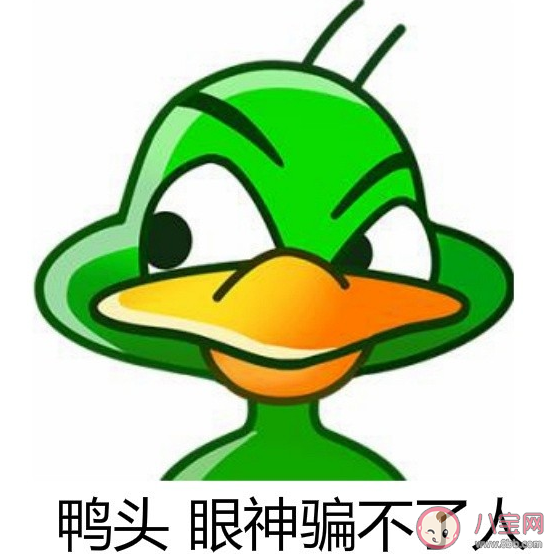 丫頭文學經典語錄說說 丫頭文學經典句子大全