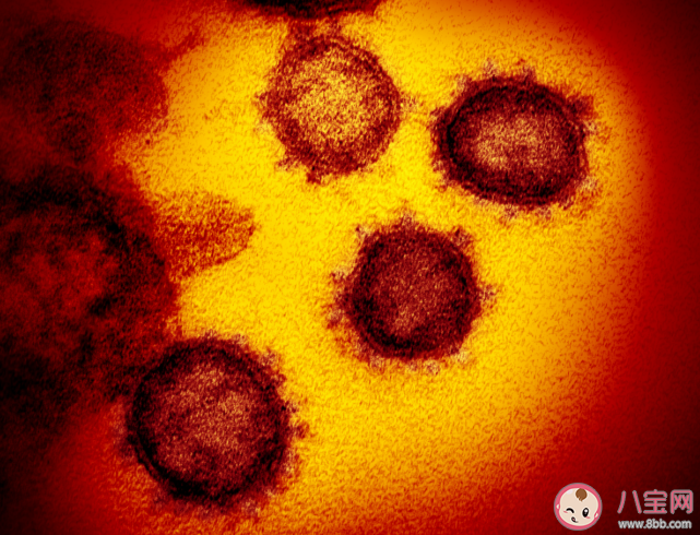 腫瘤早期五大報警信號有哪些 患上腫瘤應該怎么辦 腫瘤早期五大報警信號有哪些 患上腫瘤應該怎么辦