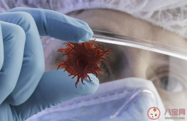 腫瘤早期五大報警信號有哪些 患上腫瘤應該怎么辦 腫瘤早期五大報警信號有哪些 患上腫瘤應該怎么辦