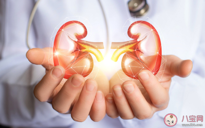 良性腫瘤和惡性腫瘤有什么不一樣 如何預防惡性腫瘤