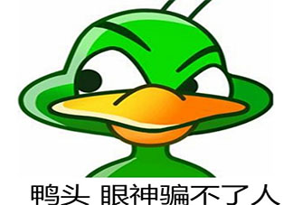 丫頭文學經典語錄說說 丫頭文學經典句子大全