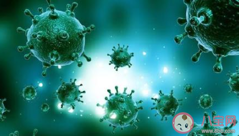 新冠病毒抗體可經母體傳給胎兒嗎 新冠病毒抗體能不能母嬰傳播