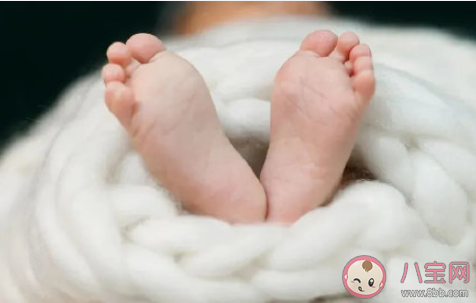 專家為什么稱放開生育越早越好 如何看待全面放開生育 專家為什么稱放開生育越早越好 如何看待全面放開生育