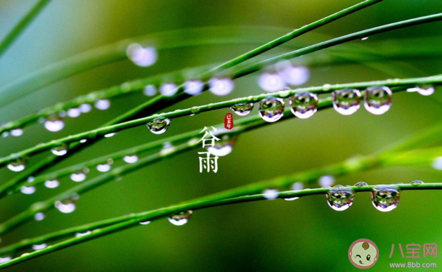 2021谷雨節氣養生要點是什么 谷雨節氣有什么禁忌