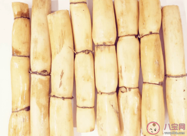 適合孕吐嘔吐的食療方 孕吐嘔吐適合吃什么