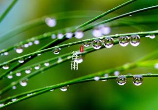 2021谷雨節(jié)氣養(yǎng)生要點(diǎn)是什么 谷雨節(jié)氣有什么禁忌