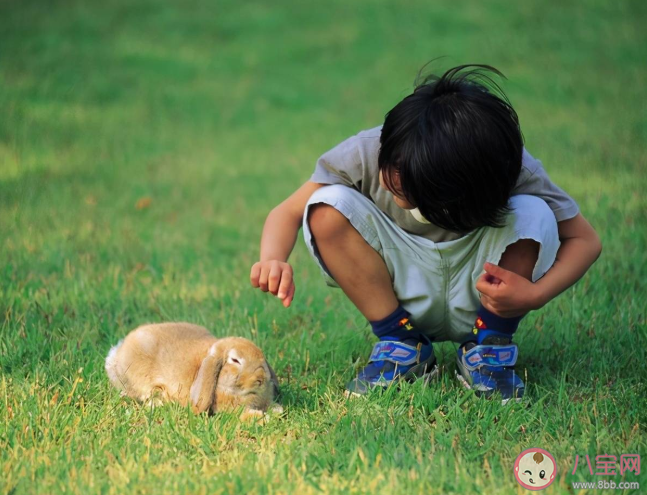 孩子幾歲好奇心強(qiáng) 怎么保護(hù)孩子的好奇心