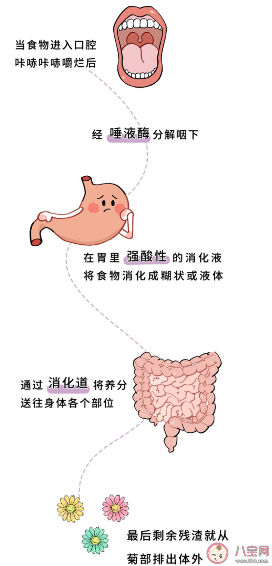 不小心吞下口香糖會不會粘在腸子上 把口香糖咽下去了會發生什么