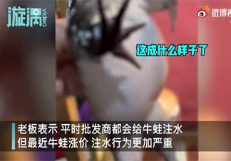 餐館老板吐槽注水牛蛙如氣球 牛蛙為什么會被注水