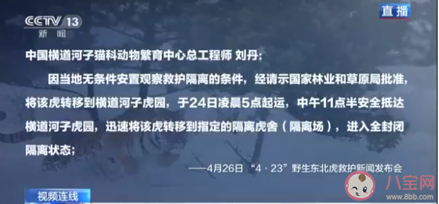 完達山1號為什么要隔離45天 完達山1號會放生到哪里 完達山1號為什么要隔離45天 完達山1號會放生到哪里