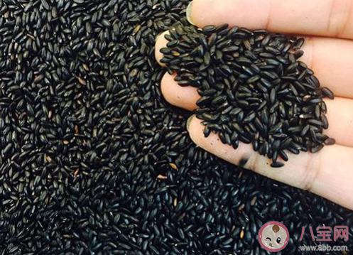 想鑒別買到的黑米是不是人工色素染色哪種方法更靠譜 螞蟻莊園小課堂4月30日答案 想鑒別買到的黑米是不是人工色素染色哪種方法更靠譜 螞蟻莊園小課堂4月30日答案