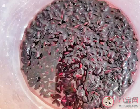 想鑒別買到的黑米是不是人工色素染色哪種方法更靠譜 螞蟻莊園小課堂4月30日答案 想鑒別買到的黑米是不是人工色素染色哪種方法更靠譜 螞蟻莊園小課堂4月30日答案