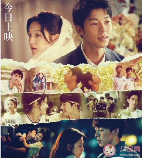 《你的婚禮》好不好看 《你的婚禮》值得看嗎 《你的婚禮》好不好看 《你的婚禮》值得看嗎