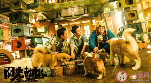 《陽光劫匪》好不好看 《陽光劫匪》影評(píng)怎么樣