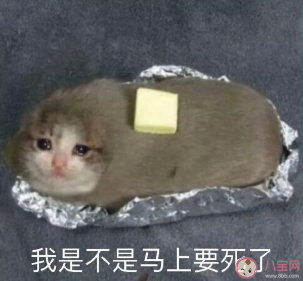 早上被吵醒的心情說說 早上被吵醒的心情句子