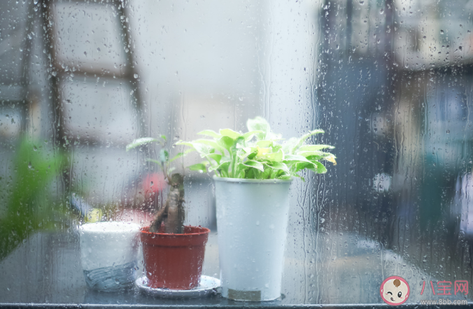 被雨聲吵醒的朋友圈說說 被雨聲吵醒發朋友圈文案句子