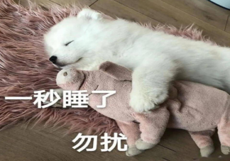 早上被吵醒的心情說說 早上被吵醒的心情句子