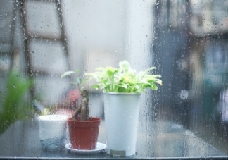 被雨聲吵醒的朋友圈說說 被雨聲吵醒發朋友圈文案句子