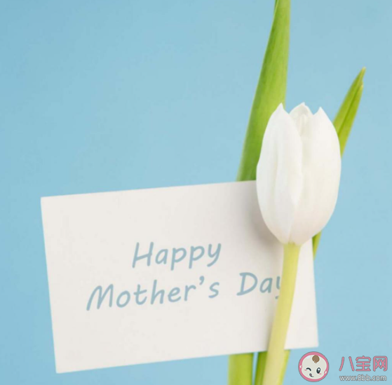 母親節早安心語配文 母親節早安祝福語句子 母親節早安心語配文 母親節早安祝福語句子