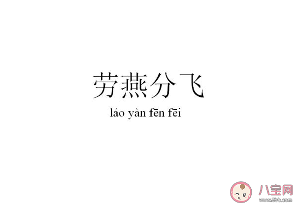 成語(yǔ)勞燕分飛中勞燕指的是什么 螞蟻莊園5月10日答案