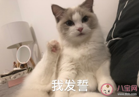 你絕不會告訴別人的小心機 哪些小心機你不會和別人說 你絕不會告訴別人的小心機 哪些小心機你不會和別人說