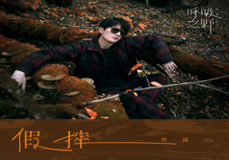 許嵩新歌《假摔》歌詞是什么 如何評價許嵩新歌《假摔》