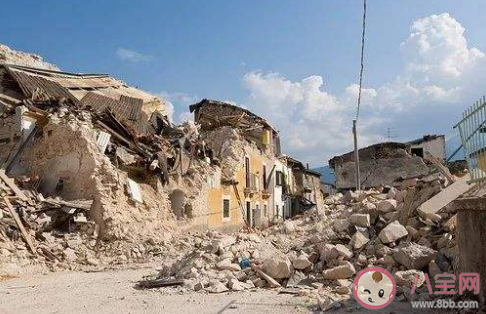 在避震自救瞬間人們的首先選擇是 螞蟻莊園5月12日答案