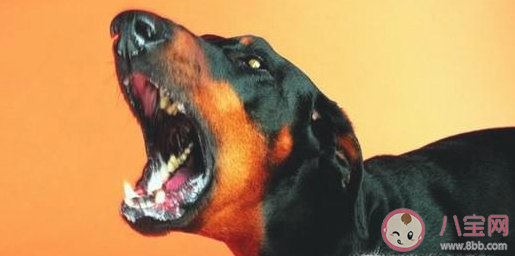 在避震自救瞬間人們的首先選擇是 螞蟻莊園5月12日答案