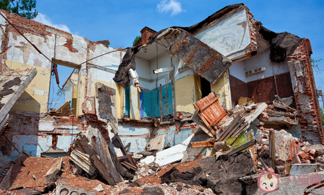 地震時出現(xiàn)站立不穩(wěn)的暈船現(xiàn)象最好該怎么做 螞蟻莊園5月12日答案最新