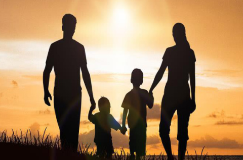 白巖松談年輕人不愿意生孩子 為什么都不愿意生孩子了