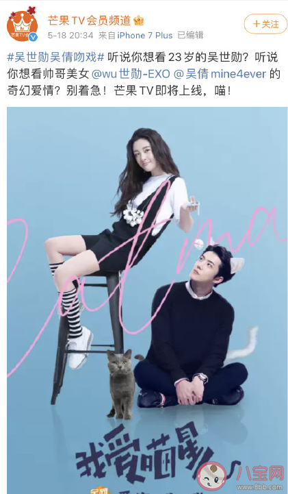 《我愛喵星人》為什么看不了下架了 《我愛喵星人》什么時候再上線