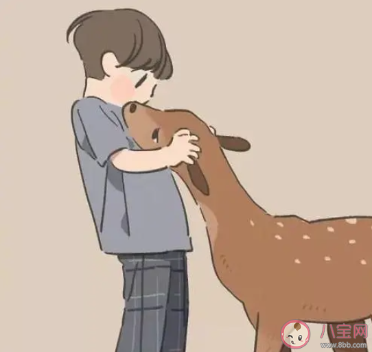 愛情有紫色紅色藍色白色四種顏色是什么歌 《戀愛畫板》完整版歌詞在線聽歌