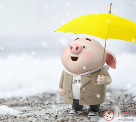 數(shù)不完的陰晴換圓缺是什么歌 《半生雪》完整版歌詞在線聽歌