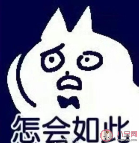 癲貓蜻蜓是什么梗 癲貓蜻蜓是什么意思