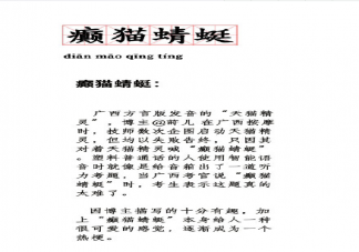 癲貓蜻蜓是什么梗 癲貓蜻蜓是什么意思