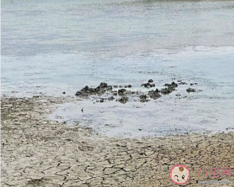 浙江嘉興上空掉下不明物體 掉下來的東西到底是什么 浙江嘉興上空掉下不明物體 掉下來的東西到底是什么