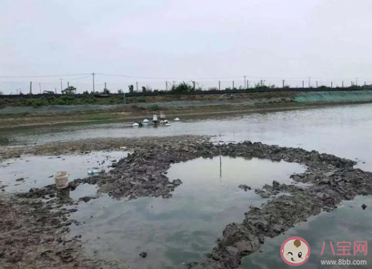 浙江嘉興上空掉下不明物體 掉下來的東西到底是什么 浙江嘉興上空掉下不明物體 掉下來的東西到底是什么