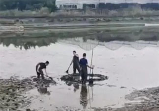 浙江嘉興上空掉下不明物體 掉下來的東西到底是什么