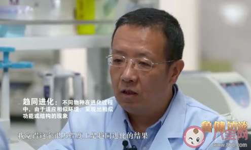 抗新冠藥物霧化吸入即可生效是真的嗎 抗新冠藥物是什么東西 抗新冠藥物霧化吸入即可生效是真的嗎 抗新冠藥物是什么東西