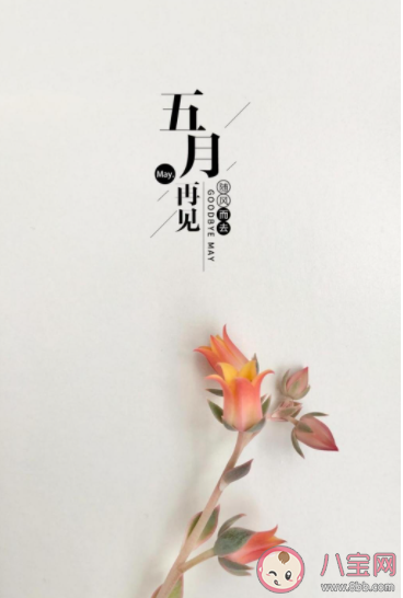 5月最后一天朋友圈文案 5月最后一天的圖片句子大全