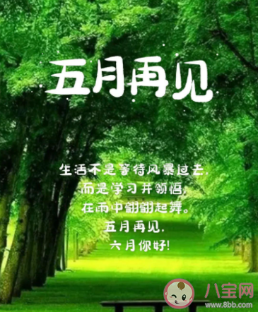 5月最后一天朋友圈文案 5月最后一天的圖片句子大全