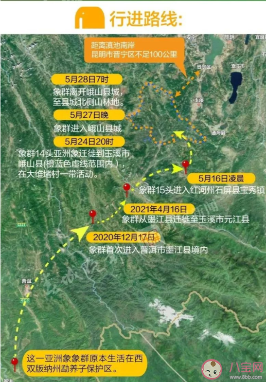 象群繼續走下去會帶來什么隱患 人類能引導它們的路線嗎