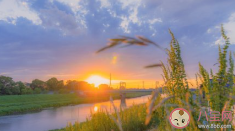 六月有哪些小期許 你對六月有哪些期待呢